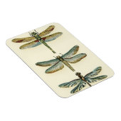 ドラゴンフライコレクションバイチャリカリアザリス マグネット (右側)