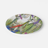 ドラゴンフライサマー紙プレート ペーパープレート (アングル)