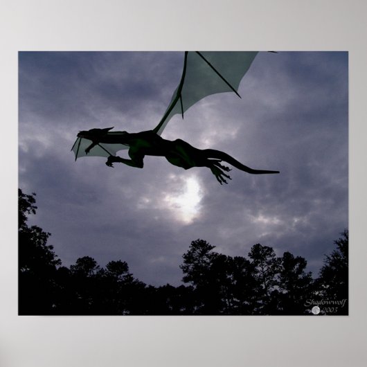 ドラゴンフライト ポスター (正面)