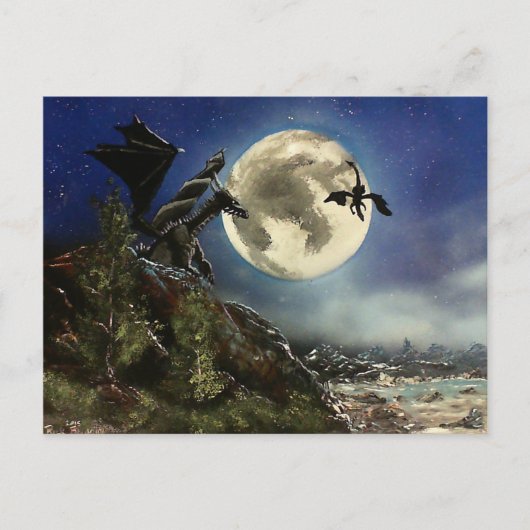 ドラゴンフライト ポストカード (正面)