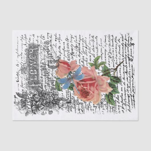 ドラゴンフライバラの分離 薄葉紙 (正面)