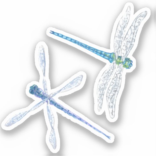 ドラゴンフライビニールのシール シール (正面)