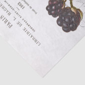 ドラゴンフライブラックベリーラディバグフランスのヴィンテージ工芸品 薄葉紙 (詳細)