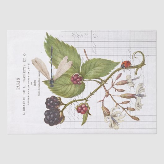 ドラゴンフライブラックベリーラディバグフランスのヴィンテージ工芸品 薄葉紙 (正面)