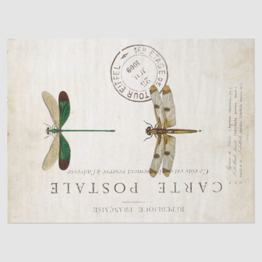 ドラゴンフライヴィンテージフランスのカルテアフターデクページ 薄葉紙 (正面)