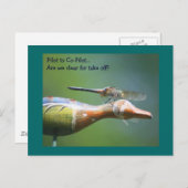 ドラゴンフライ共同パイロットユーモアのある自然はがき ポストカード (正面/裏面)