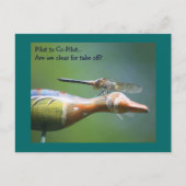 ドラゴンフライ共同パイロットユーモアのある自然はがき ポストカード (正面)