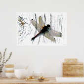 ドラゴンフライ写真 ポスター (キッチン)