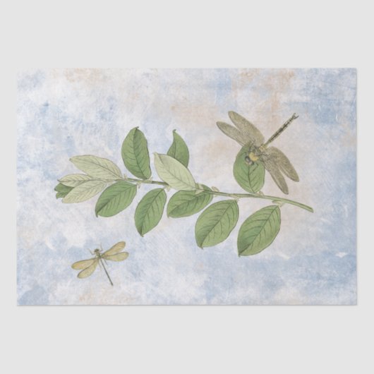ドラゴンフライ葉グリーンヴィンテージ 薄葉紙 (正面)