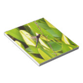 ドラゴンフライ青と黒の芝生。 ノートパッド (アングル)