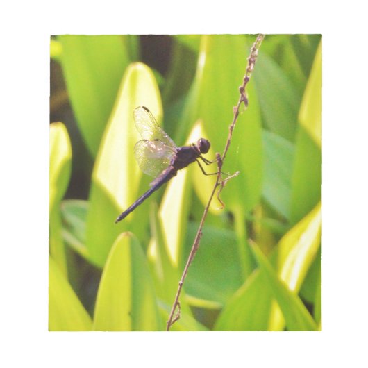 ドラゴンフライ青と黒の芝生。 ノートパッド (正面)