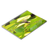 ドラゴンフライ青と黒の芝生。 ノートブック (左側)