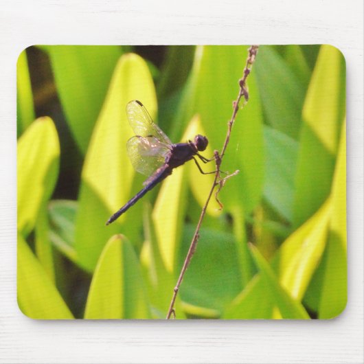 ドラゴンフライ青と黒の芝生。 マウスパッド (正面)
