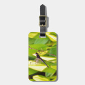 ドラゴンフライ青と黒の芝生。 ラゲッジタグ (正面縦)