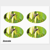 ドラゴンフライ青と黒の芝生。 楕円形シール (シート)