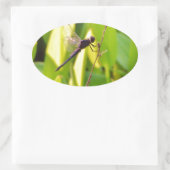 ドラゴンフライ青と黒の芝生。 楕円形シール (バッグ)