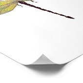 ドラゴンフライ8x10プリント ポスター (角)