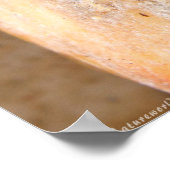 ドラゴンフライ・アット・レスト ポスター (角)