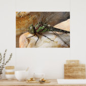 ドラゴンフライ・アット・レスト ポスター (キッチン)