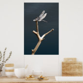 ドラゴンフライ・アット・レスト ポスター (キッチン)