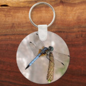 ドラゴンフライ！ キーホルダー (正面)