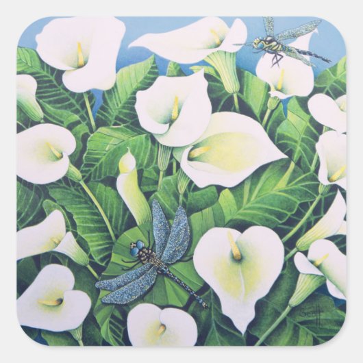 ドラゴンフライ スクエアシール (正面)