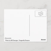 ドラゴンフライ・ドリームズ ポストカード (裏面)