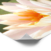 ドラゴンフライ ポスター (角)