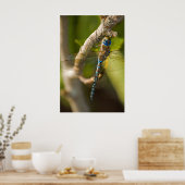 ドラゴンフライ ポスター (キッチン)