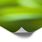 ドラゴンフライ ポスター (角)