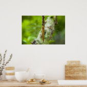 ドラゴンフライ ポスター (キッチン)