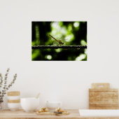 ドラゴンフライ ポスター (キッチン)