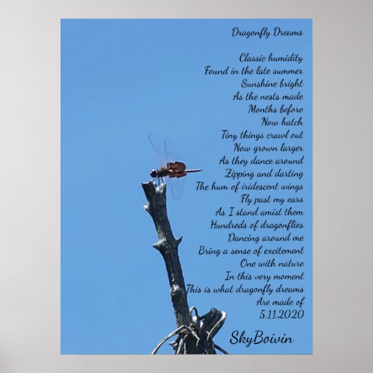ドラゴンフライ ポスター (正面)