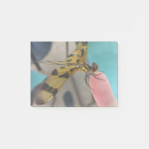 ドラゴンフライ