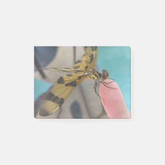 ドラゴンフライ ポストイット (正面)