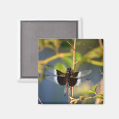 ドラゴンフライ マグネット (正面/裏面)