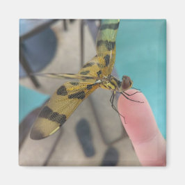 ドラゴンフライ マグネット