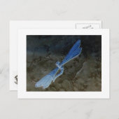 ドラゴンフライ&レース ポストカード (正面/裏面)