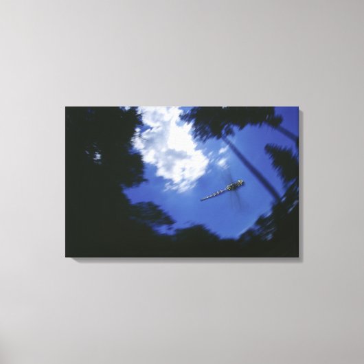 ドラゴンフライ、羽ばたき キャンバスプリント (正面)