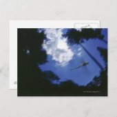 ドラゴンフライ、羽ばたき ポストカード (正面/裏面)