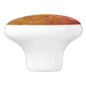 ドラゴンフライCoパイロット虫抽象芸術グランジ  セラミックノブ (側面)