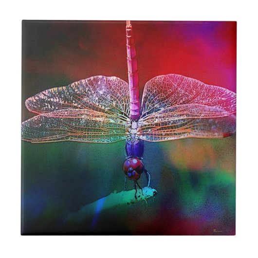 ドラゴンフライPINK DELIGHT.jpg タイル (正面)