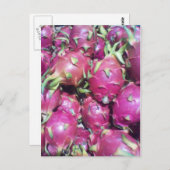 ドラゴンフルーツ葉書 ポストカード (正面/裏面)