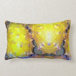 ドラゴンフルーツ装飾用クッション ランバークッション