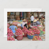 ドラゴンフルーツ販売 ポストカード (正面/裏面)