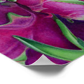 ドラゴンフルーツ ポスター (角)