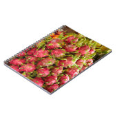 ドラゴンフルーツ | Duoc市場 ノートブック (左側)