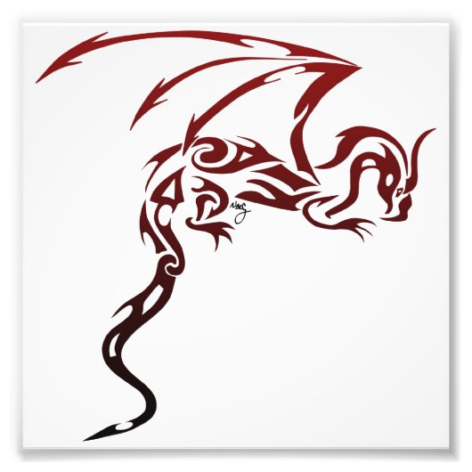 ドラゴンプリント フォトプリント            (正面)