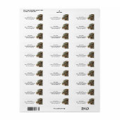 ドラゴンヘッド ラベル (フルシート)