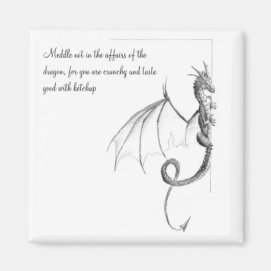 ドラゴンページマグネット マグネット (正面)